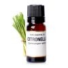 Lemongrass Essential Oil New